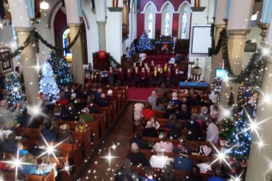 Christmas Tree Festival